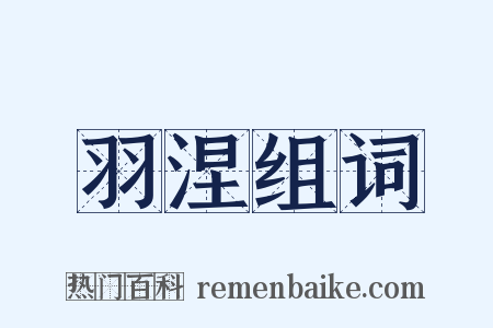 羽涅组词是什么意思的图片